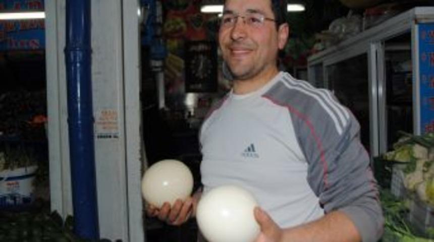 Manavgat'ta Deve Kuşu Yumurtası 15 Liradan Satışa Sunuldu