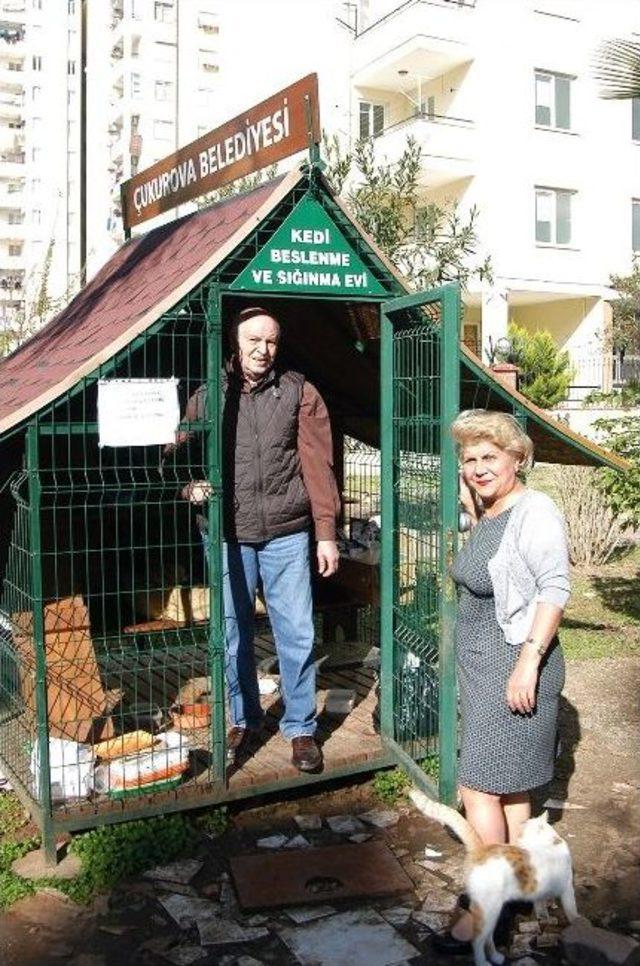 Adana'da Kedi Beslenme Ve Sığınma Evi Yetersiz