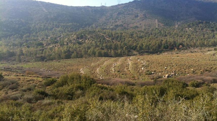 Karşıyaka'nın Elektriği G&uuml;neş Tarlası'nda &Uuml;retilecek