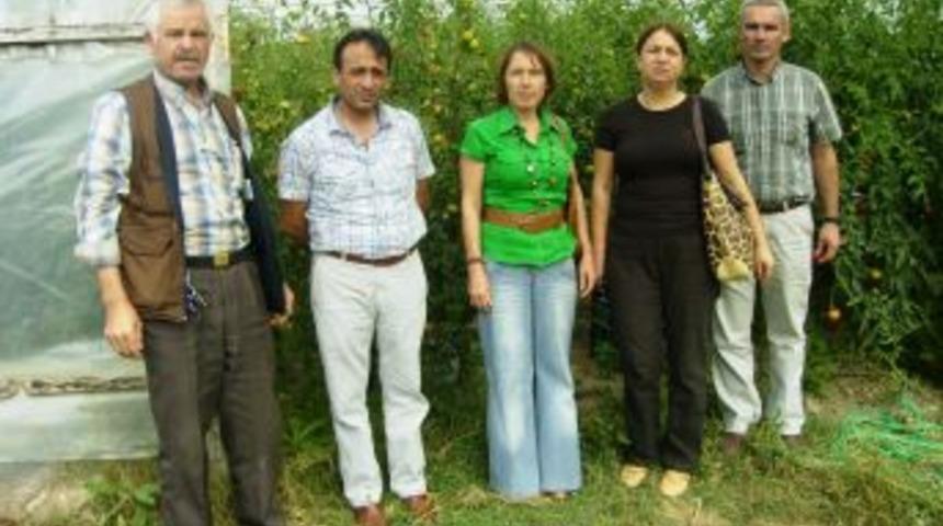 &Ccedil;iftlik Muhasebe Sistemi Ile Tarımsal Işletmeler Kayıt Altına Alınacak