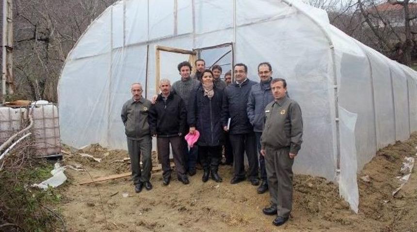 Marmara'da İlk Kez Katlı Sera Uygulamasına Yalova'da Başlandı