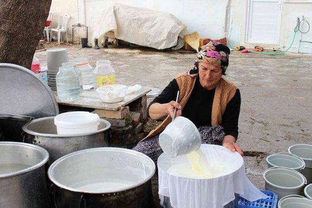 Silifke Yoğurdu Kadınların Geçim Kaynağı Oldu