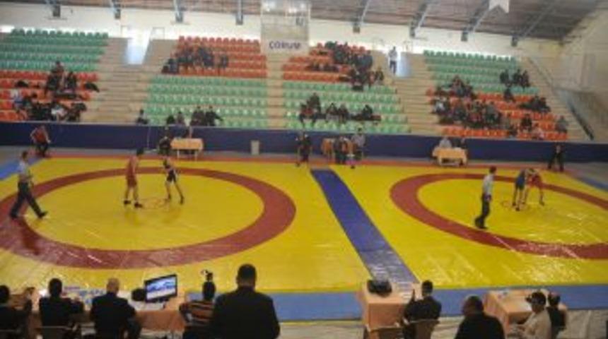 Gen&ccedil;ler Grekoromen G&uuml;reş Grup M&uuml;sabakaları Başladı