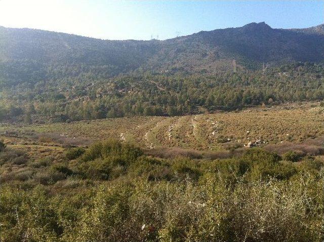 Karşıyaka Belediyesi Kendi Enerjisini Kendi Üretecek