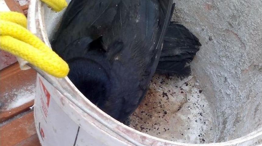 Sorgun İtfaiyesinden Karga Kurtarma Operasyonu