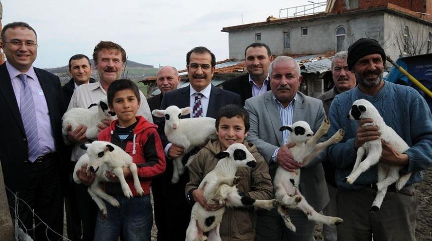 Atakum Kaymakamlığı Koyun Projesiyle K&ouml;yden G&ouml;&ccedil;&uuml; Tersine &Ccedil;evirdi