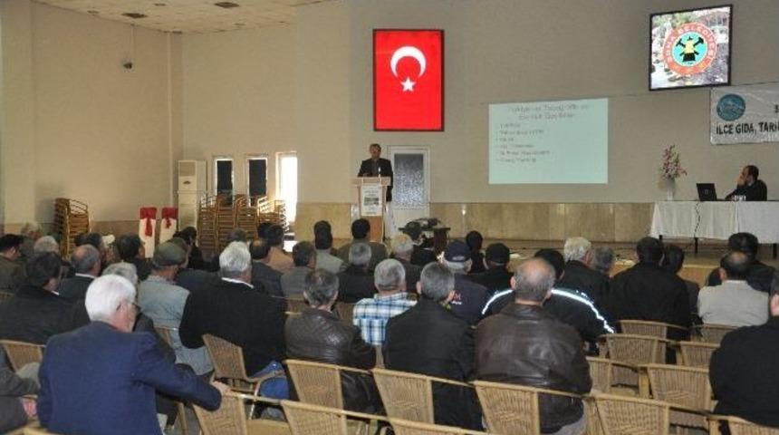 &Ccedil;ift&ccedil;ilere "ceviz Yetiştiriciliği" Semineri Verildi