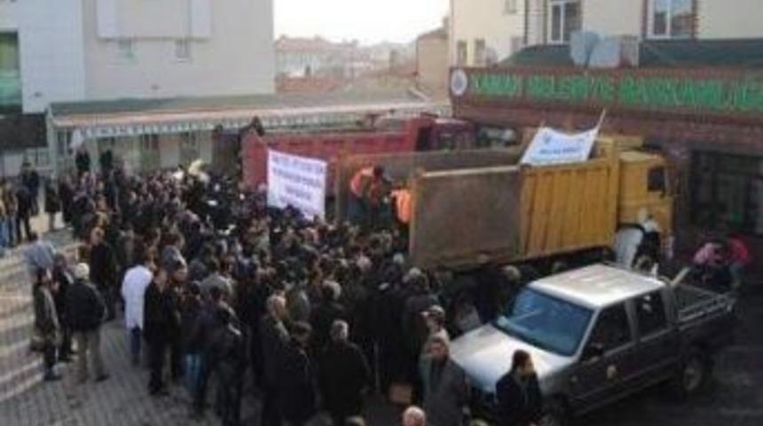 Kaman&rsquo;da 100 Bin &Ccedil;am Fidanı Dağıtılacak