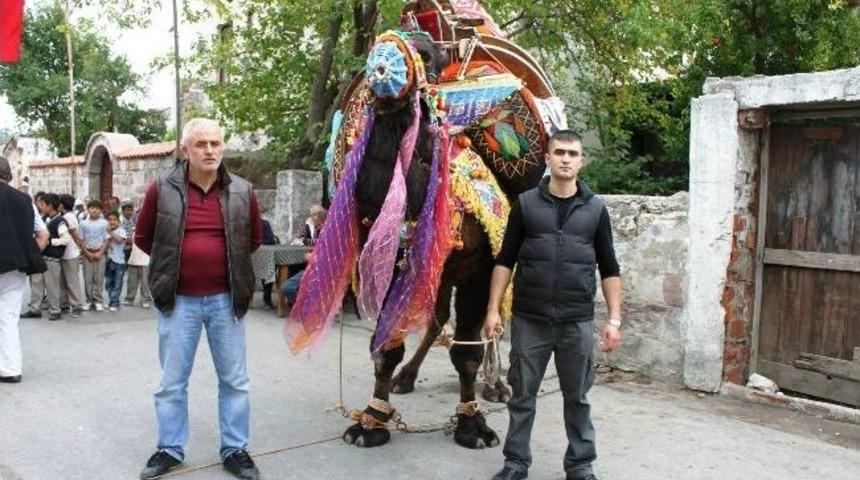 G&uuml;reş &Ouml;ncesinde Deve Sucukları Beğeniye Sunuldu
