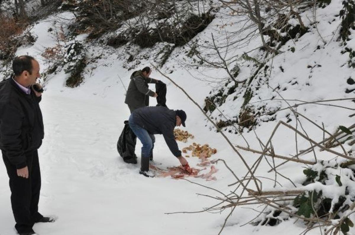 Topladığı Bayat Ekmekleri Yaban Hayvanlarına G&ouml;t&uuml;r&uuml;yor