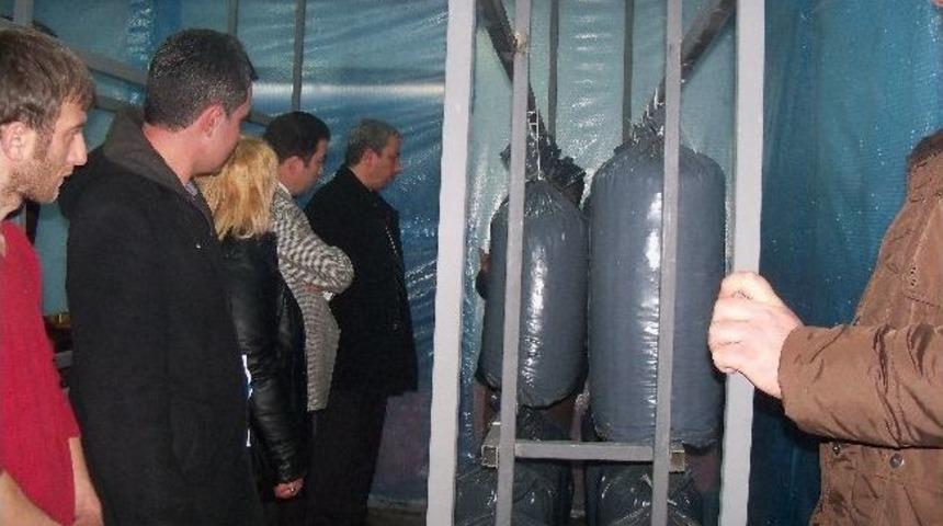 Giresun&rsquo;da İstiridye Mantarı Yetiştirilecek