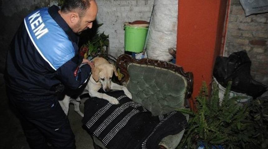 Uyuşturucu Tacirlerine Şafak Baskını