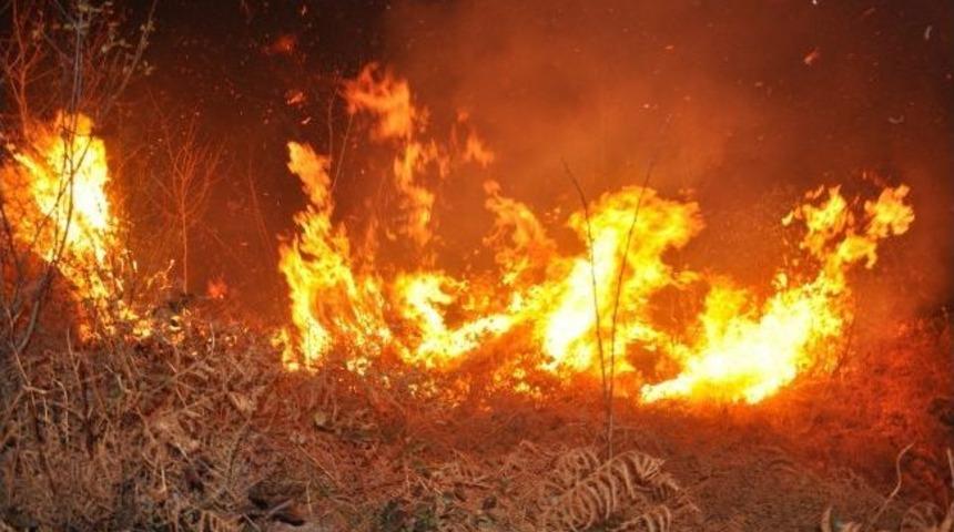 &Uuml;nye&rsquo;de Orman Yangını