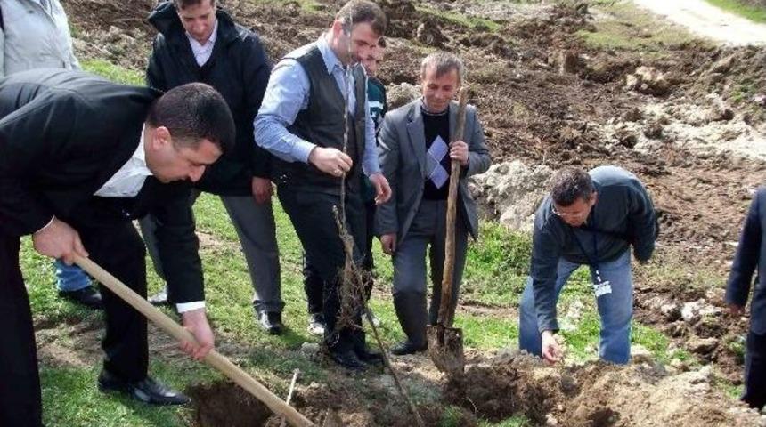 K&ouml;y Ekonomilerine Ortak Alanlarla Destek