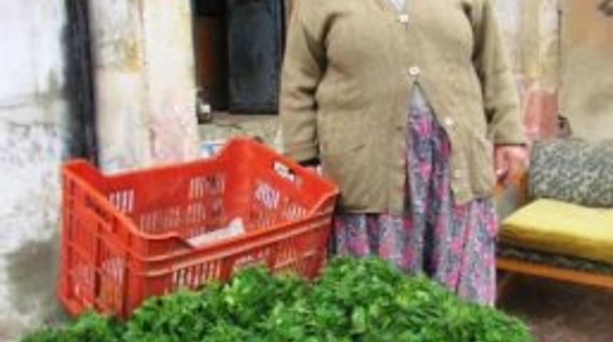 Her Derde Deva Isırgan Otu K&ouml;yl&uuml; Pazarlarında