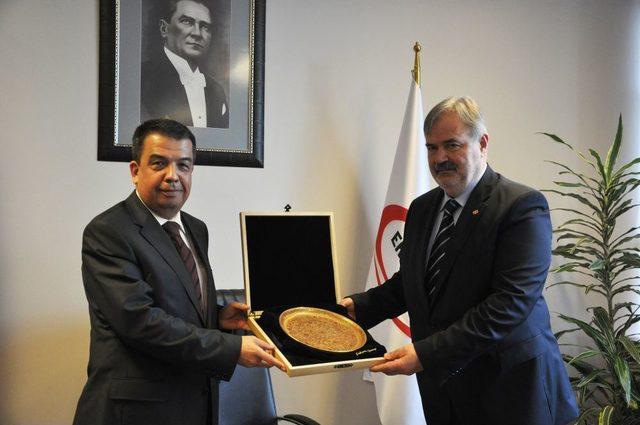 B&uuml;y&uuml;kel&ccedil;i Bolboceanu ERDEMİR i Gezdi 1