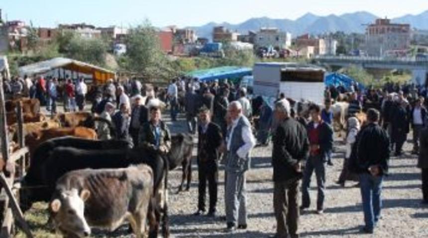 Giresun&rsquo;da Hayvan Pazarı Karantina Altına Alındı