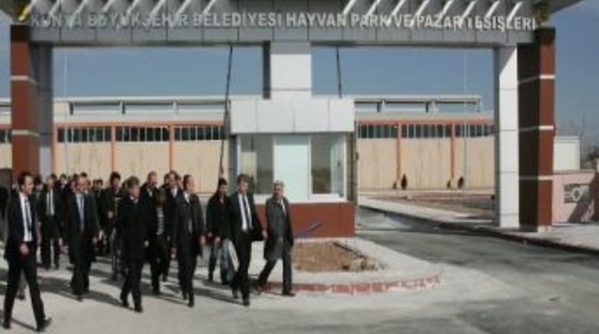 Konya&rsquo;ya Modern Hayvan Pazarı