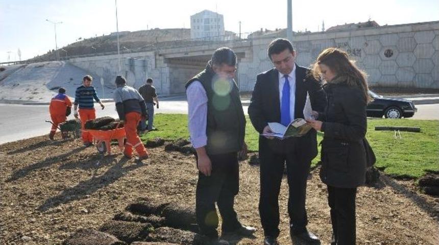 Başkan Vekili Bakıcı Yeşil Alan &Ccedil;alışmalarını İnceledi