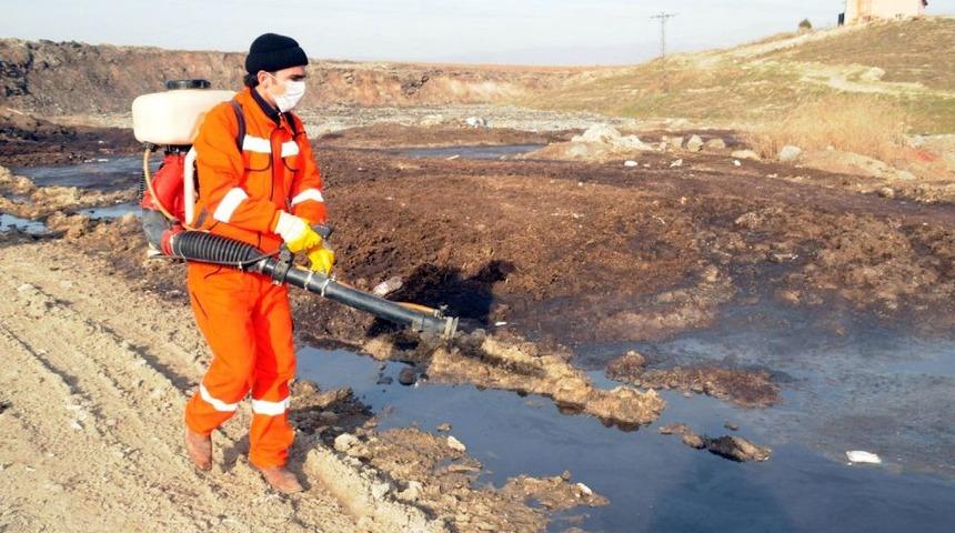 &Ccedil;orum'da Sinekle M&uuml;cadele Erken Başladı