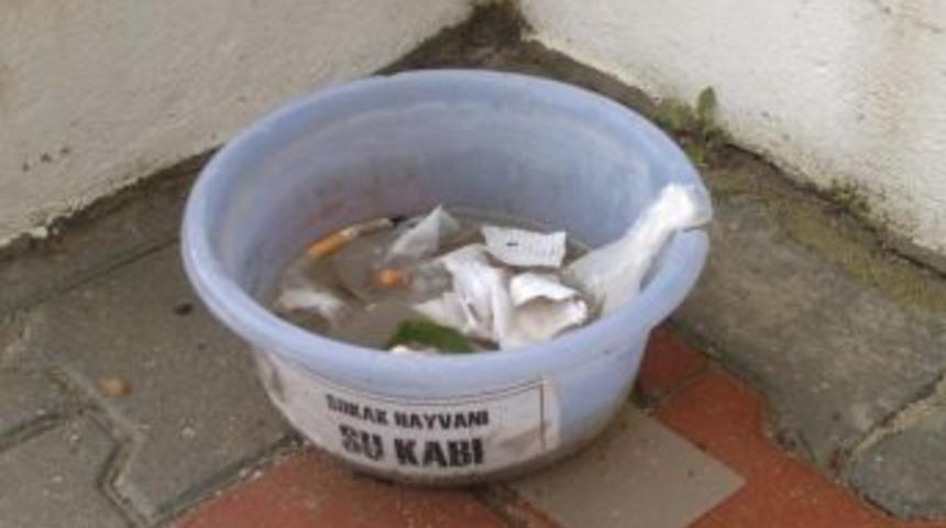 Dat&ccedil;a&rsquo;da Su Kaplarının Kirletilmesine Tepki