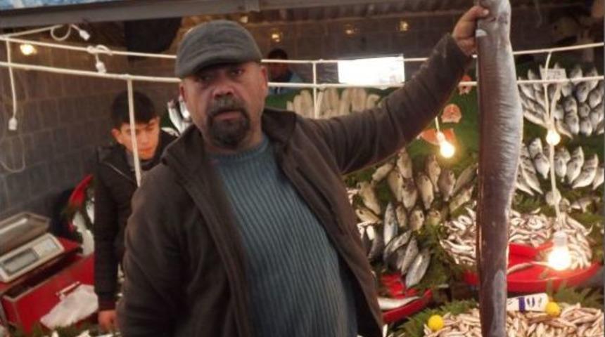 Dev M&uuml;ren Balığı Ilgi Odağı Oldu