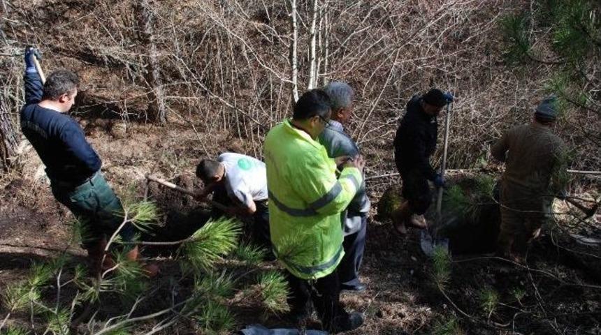 Tosya Belediyesinden Su Araması