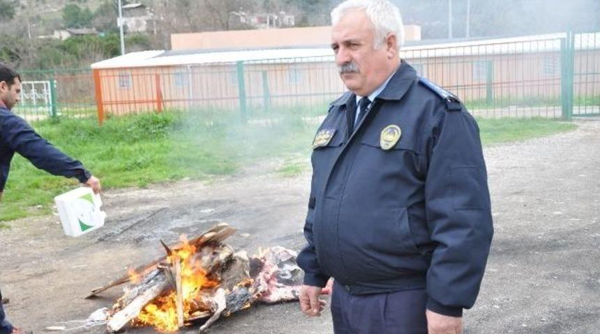 Kozan&rsquo;da Ka&ccedil;ak Ve Sağlıksız Et İle M&uuml;cadele