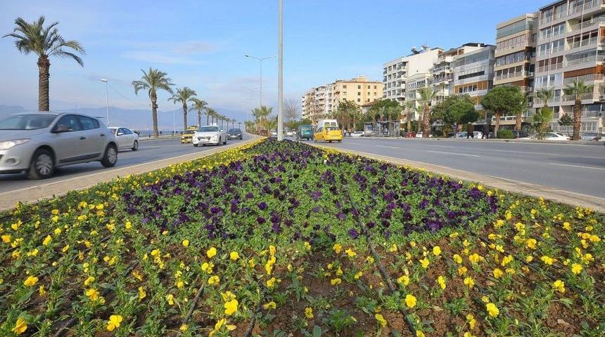 İzmir'e Bu Yıl 4 Milyon Adet &Ccedil;i&ccedil;ek Dikilecek