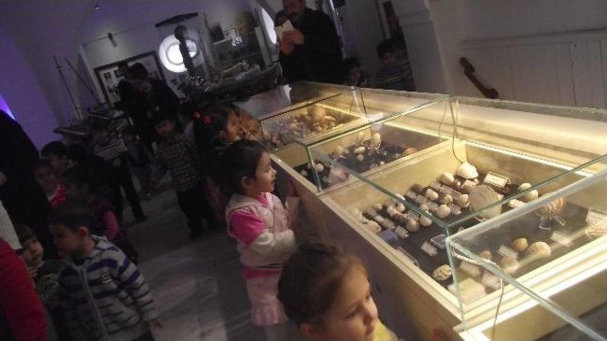 Bodrum Deniz M&uuml;zesi&rsquo;nin En Minik Ziyaret&ccedil;ileri