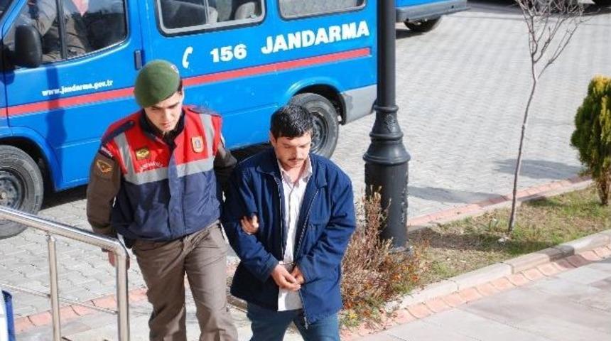 Suçlarını İtiraf Eden Hırsızlar Serbest Kaldı