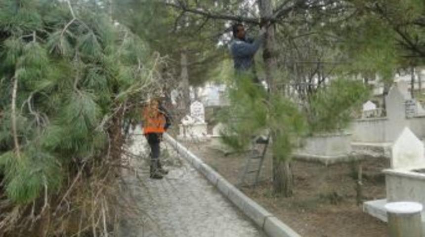 Sungurlu Belediyesi&rsquo;nden Bahar Hazırlığı
