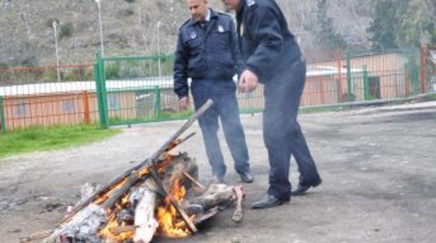 Kozan'da Hastalıklı Olduğu Anlaşılan 42 Et Imha Edildi