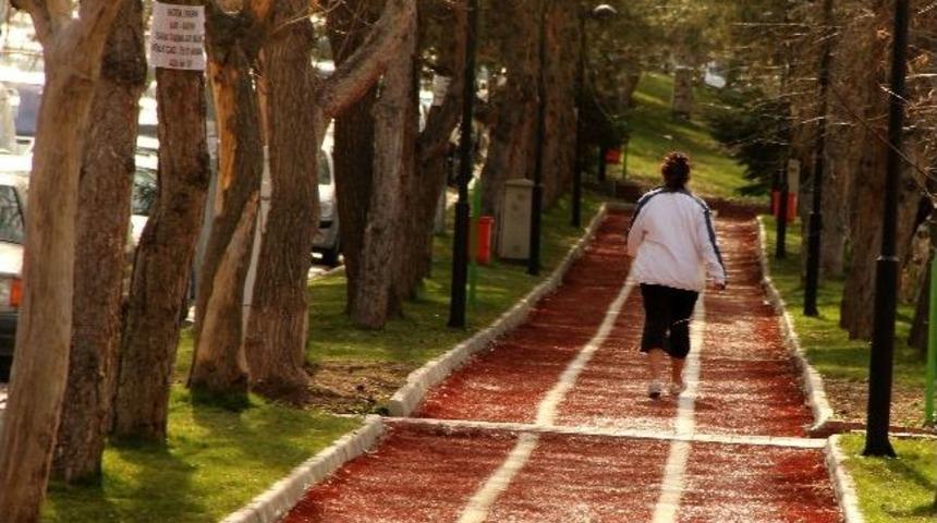 Şimşek Sokak, Ayrancı&rsquo;ya Renk Getirdi