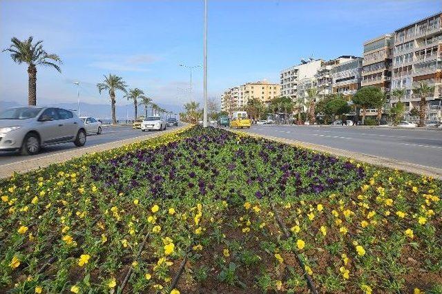 Yeşil Alanlara Bu Yıl 4 Milyon Adet Mevsimlik &Ccedil;i&ccedil;ek Dikecek 1