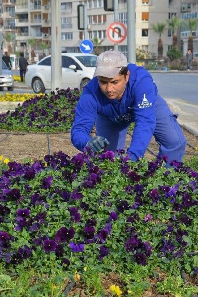 Yeşil Alanlara Bu Yıl 4 Milyon Adet Mevsimlik &Ccedil;i&ccedil;ek Dikecek 3