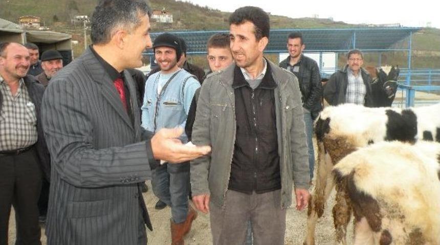 Hayvan Pazarına Getirilen Hayvanlar İ&ccedil;in Para Almak Yerine Para Veriyorlar