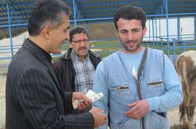 Hayvan Pazarına Getirilen Hayvanlar İ&ccedil;in Para Almak Yerine Para Veriyorlar 3