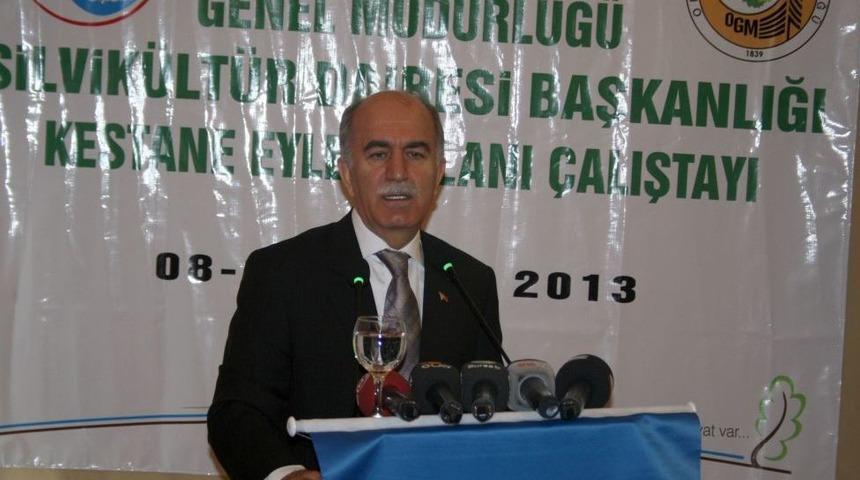 Bu Sene 100 Bin Kestane Fidanı Toprakla Buluşacak