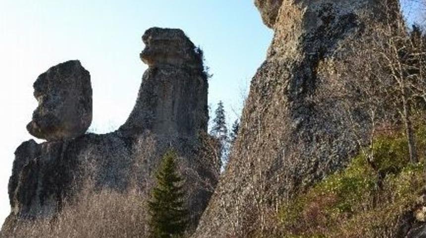 Muhtar, Define Avcılarına G&ouml;z A&ccedil;tırmıyor