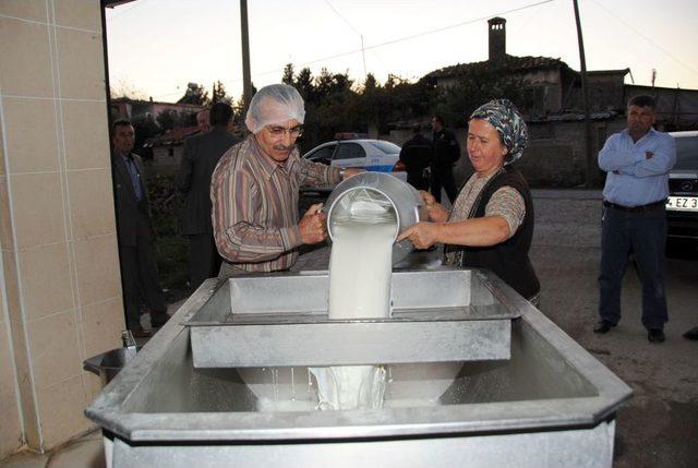 Manavgatta Çiğ Sütte Bakteri Oranı 7 Yılda 50 Kat Düştü