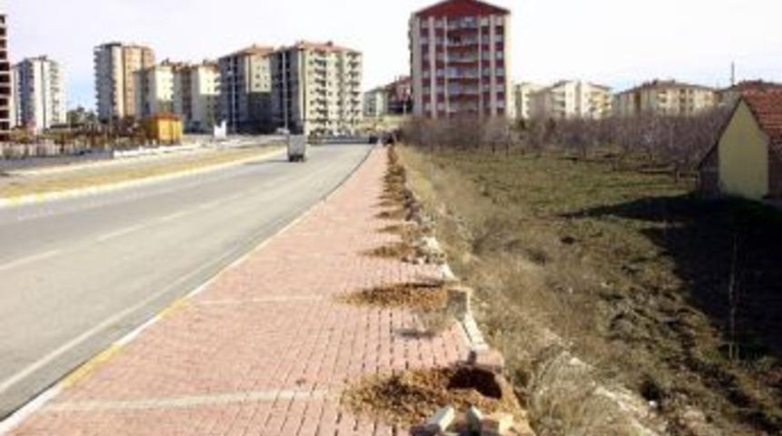 Belediye Bu Sezon Park Ve Bah&ccedil;elerde 6 Bin Fidan Dikti
