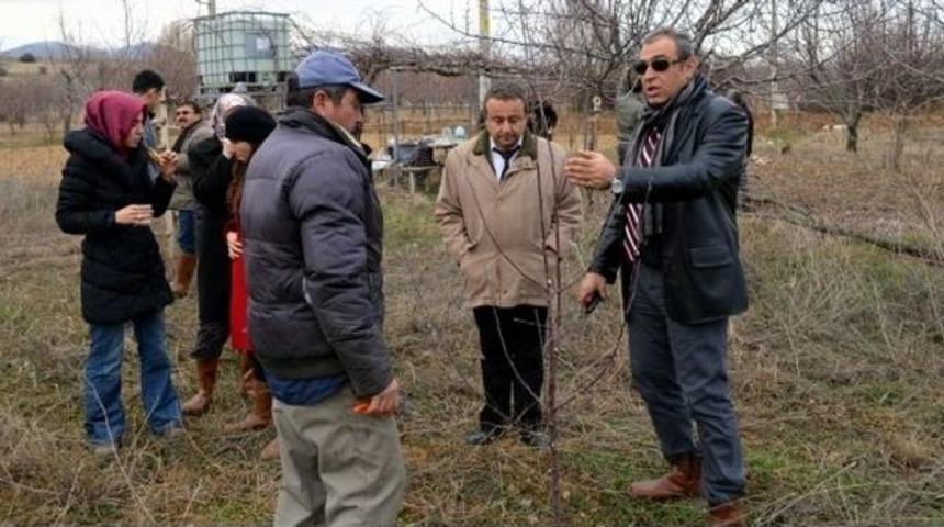 &Uuml;reticilere Uygulamalı Ağa&ccedil; Budama Eğitimi