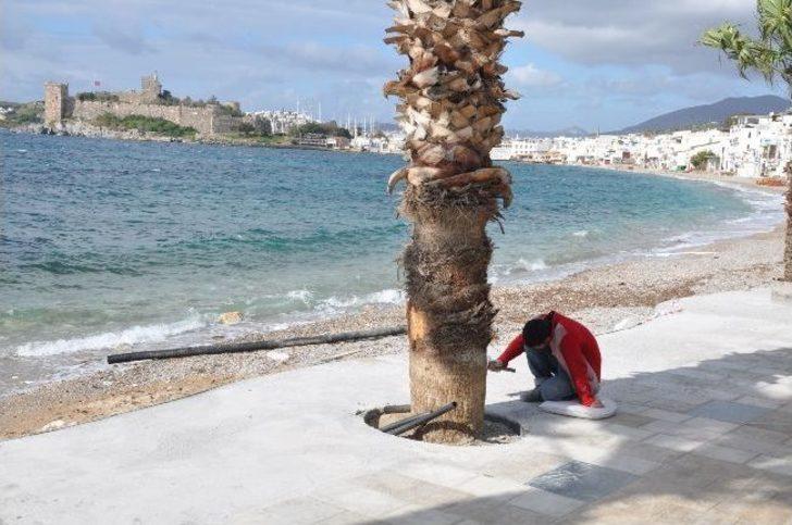 Kumbahçe Meydanı’nda Mermer Döşemesi Başladı G1