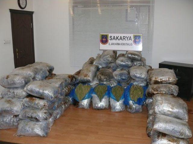 Sakarya da 516 Kilo Esrar Ele Ge&ccedil;irildi 1