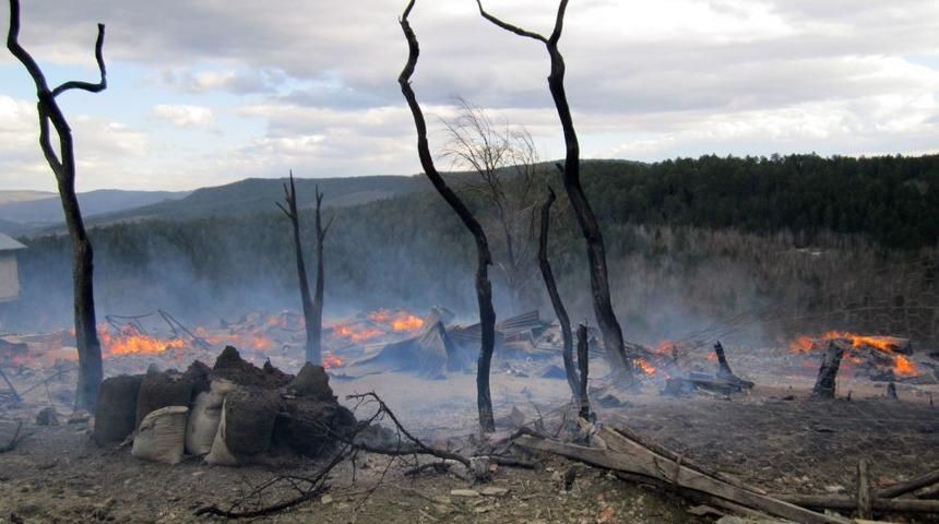 Karab&uuml;k'te Yangın: 8 Ev Yandı, 8 B&uuml;y&uuml;kbaş Hayvan Telef Oldu