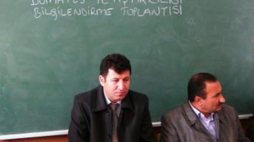 Tatvanlı &Ccedil;ift&ccedil;iler Domates Birliği Ile &Uuml;r&uuml;n&uuml;n&uuml; Daha Kolay Pazarlayacak