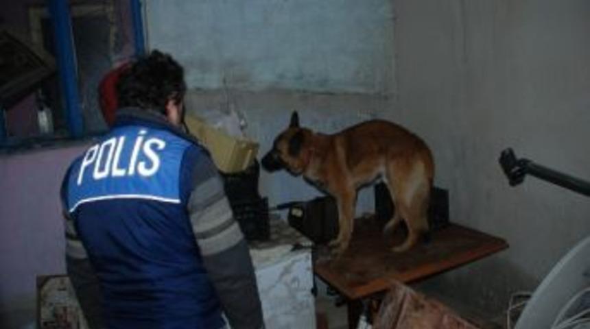 &Ccedil;orlu Kom Ekipleri 20 Paket Bonzai Ele Ge&ccedil;irdi