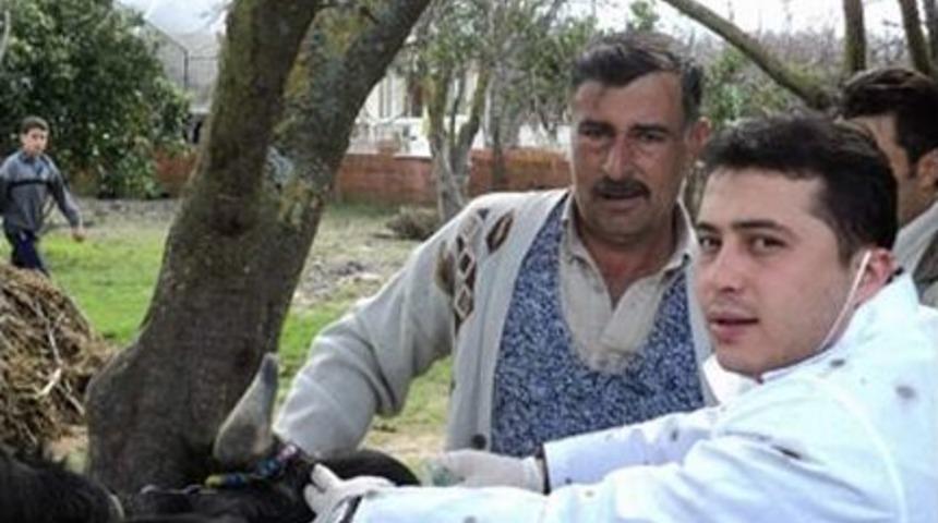 Aydın&rsquo;da Brucella İle M&uuml;cadele Devam Ediyor