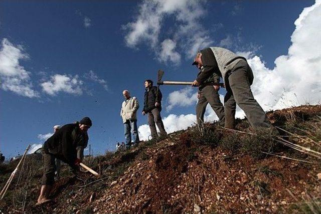 Orman Bölge Müdürlüğü'nden Silvikültür Tatbikatı